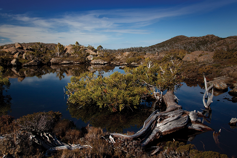 Tarn Shelf